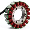 STATOOK Alternator Stator Compatible F650GS F700GS-4